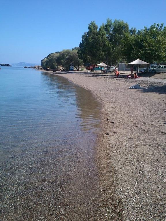 Evoikos beach & resort Livanátesz Kültér fotó
