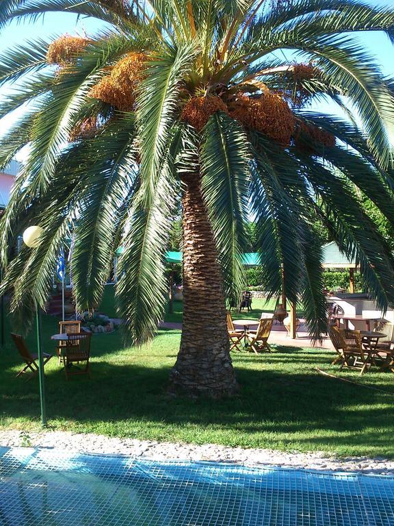 Evoikos beach & resort Livanátesz Kültér fotó